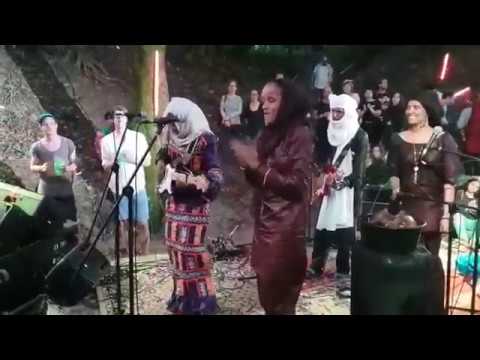 Premier concert à Budapest   Les Filles de Illighadad