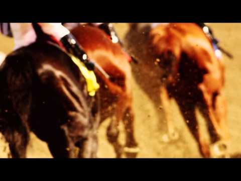 Sneak Peek: William Hill Haskell Invitational at Monmouth Park