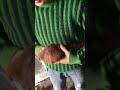 Guvarchinari Nasil Chiflashdirabiliriz Ve Hasdami Dil Anamanin Yolari