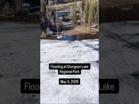 Flooding at Sturgeon Lake Regional Park - May 5, 2026