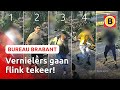 BRUTALE vandalen gooien met STENEN | Bureau Brabant