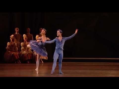 SLEEPING BEAUTY - Grand Pas de Deux Florine & Blue Bird (Yuhui Choe & Alexander Campbell)