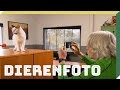 Doe het zelf - Een dierenfoto maken