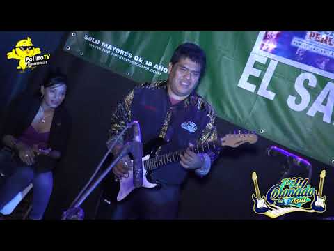 Pity Coronado Maldito Dinero