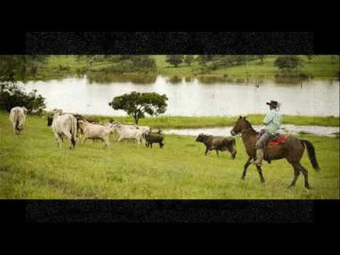 Venezuela. Esteros del Camaguán.