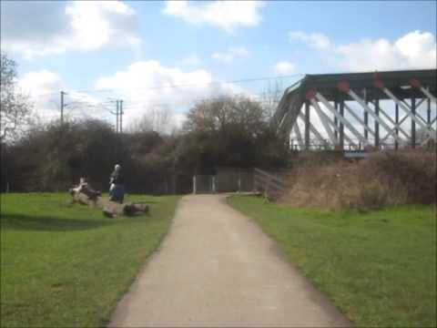 Howard Road Path, Ditton Meadows, Stourbridge Common