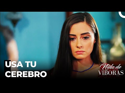 Haz Caso A Los Viejos  - Nido De Víboras