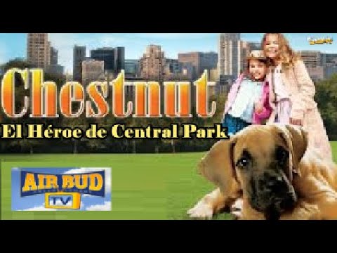 CHESTNUT HEROE DEL CENTRAL PARK