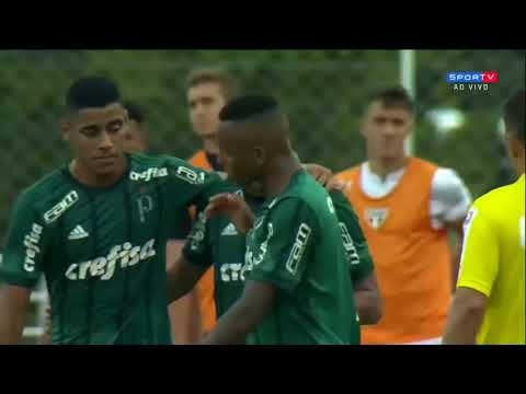 Papagaio - São Paulo 4 x 3 Palmeiras Gol da final da copa RS 17 12 2017