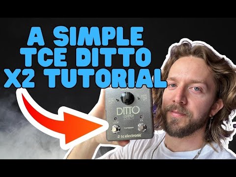 TC Electronic Ditto X2 Looper 2014 - Present - Black image 2