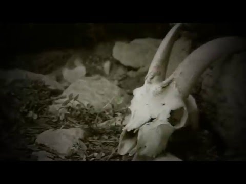 Unholy Impurity - Sas Raighinas 'e Su Dimoniu (demon's roots) Raw Official VIDEO