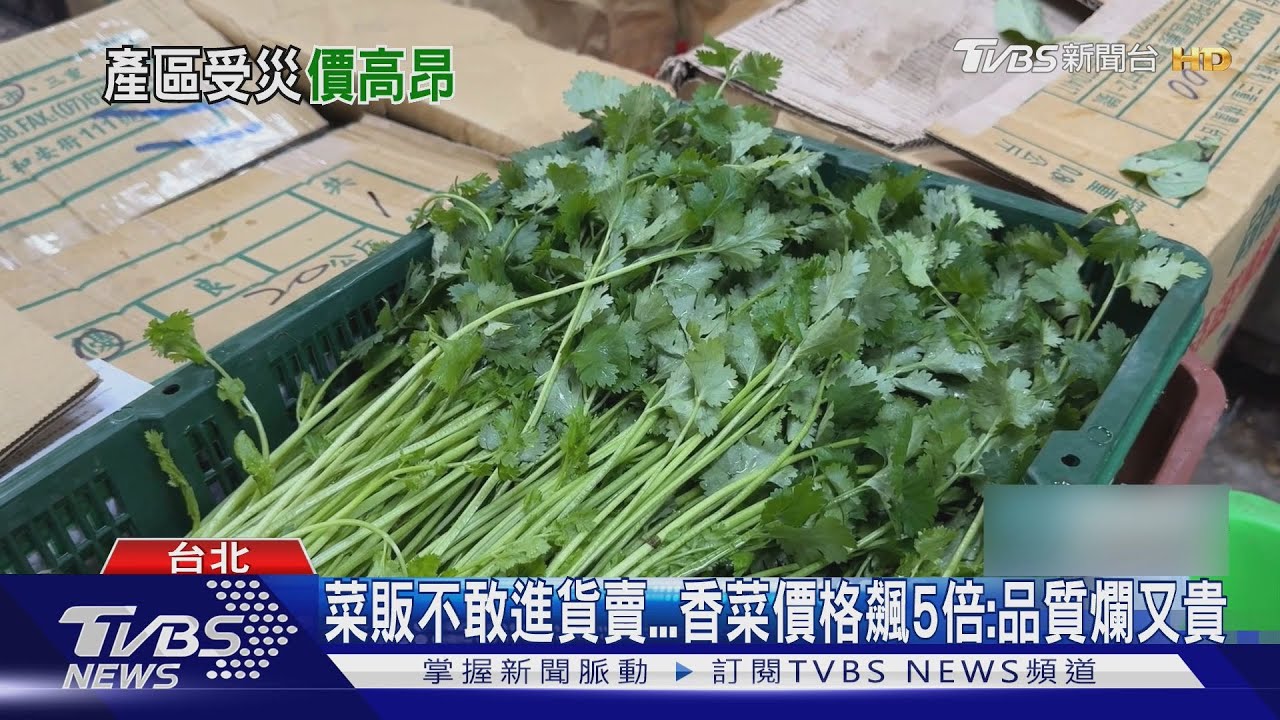 豪雨重創香菜拍賣價「每公斤破千元」 菜販不敢進貨賣:品質爛又貴
