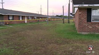 Eunice shooting injures one, damages property