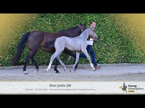 don julio jw