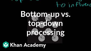 Bottom-up vs. top-down processing | Processing the Environment | MCAT | Khan Academy
