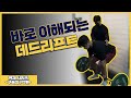 (EP.05) 데드리프트가 스쿼트보다 더 강한 이유는? | 데드리프트 A to Z