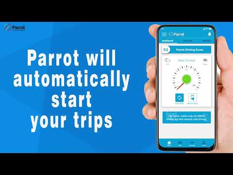 Parrot IN video thumbnail