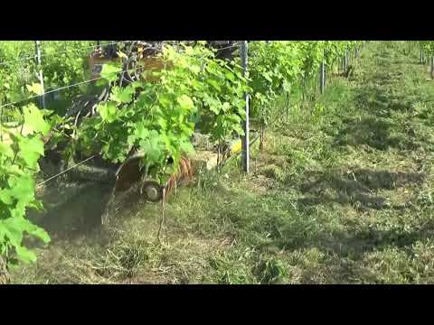 TAGLIAERBA A TAGLIO VARIABILE RAS 2 CON TASTATORI E TESTATE BIOAGRI PER DISERBO MECCANICO