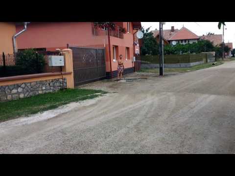 ION.   SI     NICU.   PETRESTI