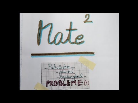 Patrulatere - patratul, dreptunghiul - probleme 1