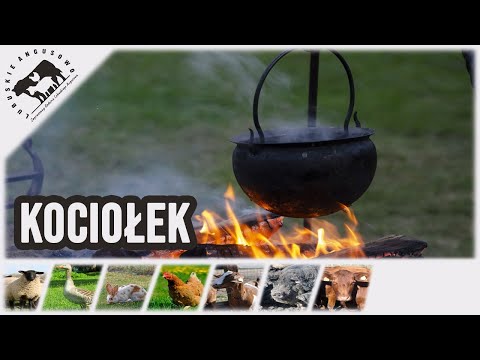 Lubuskie Angusowo - S2 E20 - Kociołek