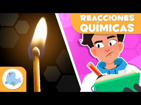 REACCIONES QUÍMICAS para niños 🍎🔥🧪 Oxidación, Combustión y Fermentación