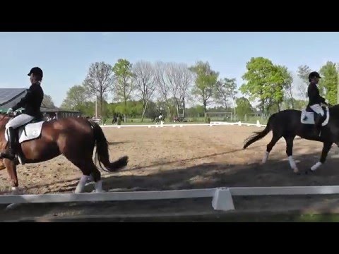 Pas de Deux - Merkur Cup in Pr.Ströhen