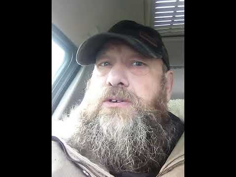 Once were Warriors now we are Sheep