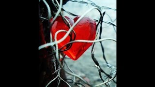 Eric Clapton - Tangled in love (lyrics on clip)