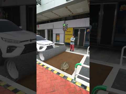 Car Vs Tortal 😂 #vfx