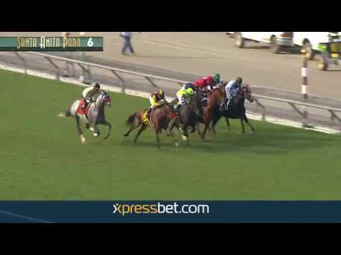 Goldikova Stakes (Gr. II) - Sunday, November 6 2016