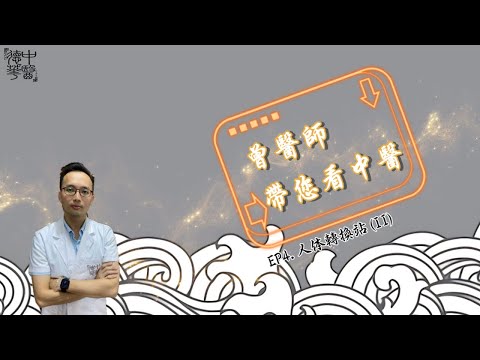 看中医：人体转换站（二）