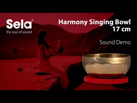 Демонстрация звучания поющей чаши Sela SE 262 Harmony