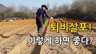 고추밭 퇴비 비료살포 이렇게 하면 좋다? 아미노산 칼슘이 풍부한 어분골드 사용기