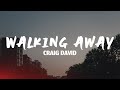 Walking away - Craig David (Lyrics)