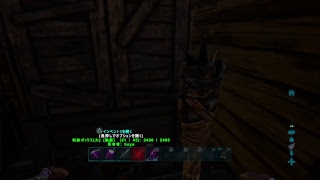 Ps4 実況放送  初見歓迎！？　ARK 公式サーバー　何しよう何しよう