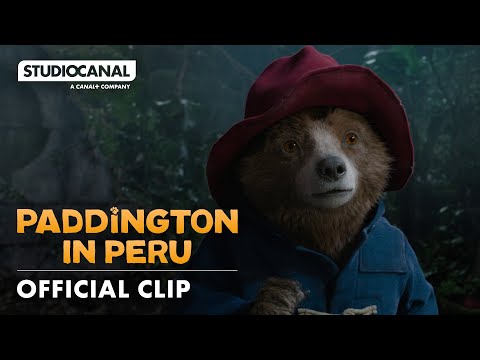 "The Bear Will Show The Way"