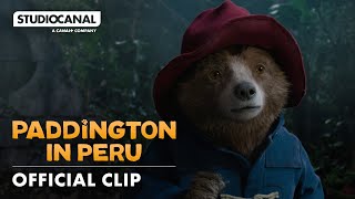 "The Bear Will Show The Way"