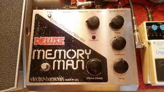 Electro-Harmonix EH-7850/EC-2000/EC-2002 Deluxe Memory Man - What