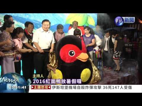 "紅面鴨"湊熱鬧 水舞秀超吸睛