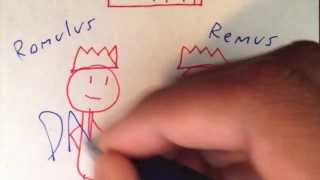 The Roman Empire Explained in One Minute