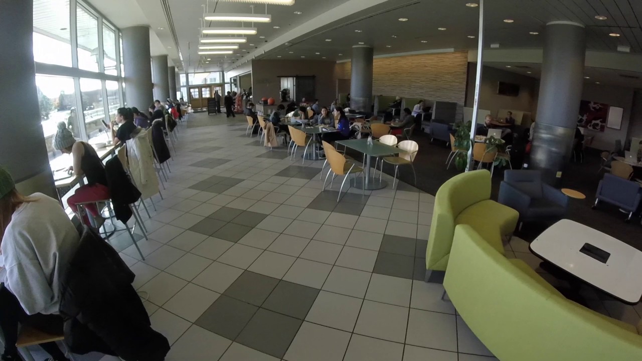 Study at Palmer Commons