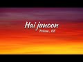️ Ll Hai Junoon Ll New York 2009 Ll Song Lyrics Ll KK Pritam Sandeep Shrivastav Ll ️