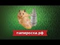 Tobeco Hurricane - обслуживаемый бакомайзер - превью aK3tbwDPthY