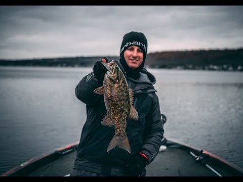 SO MANY FISH!!!  - How to fish the Keitech 2.8 swing impact FAT.