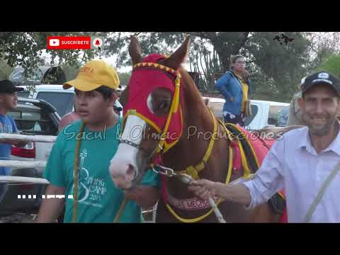 Julieta vs Supernova