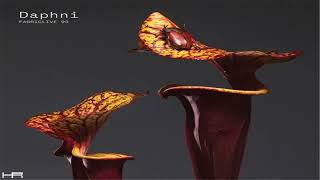FABRICLIVE. 93 - Daphni (2017) [Continuous Mix]