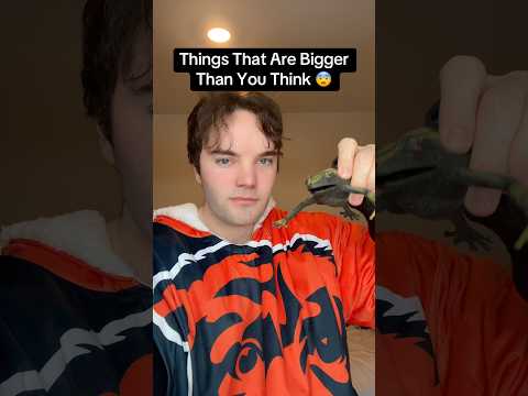 Things That Are Bigger Than You Think 😨