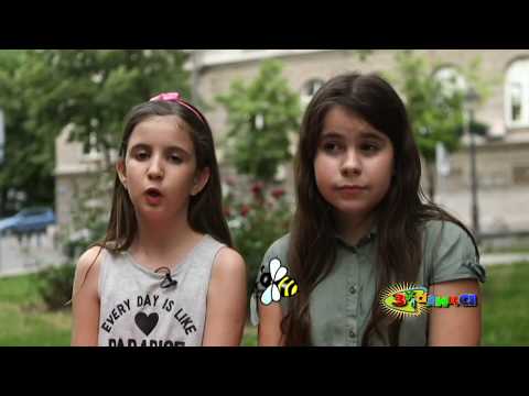 Zujalica ( TV RTS 26. 05. 2018. )