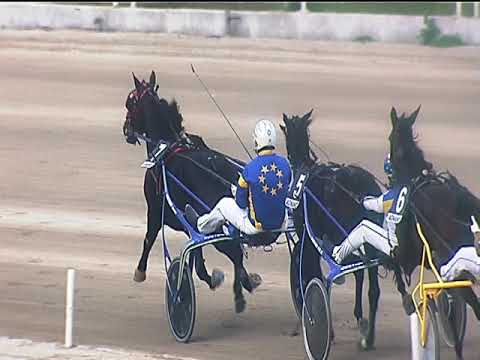 Trotto 14/10/2018 - 6ª corsa